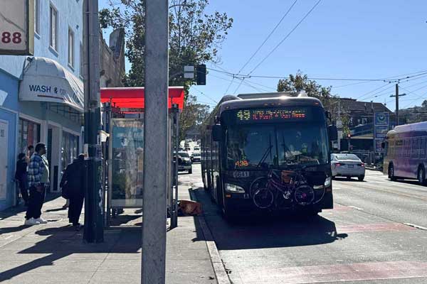 #49 bus